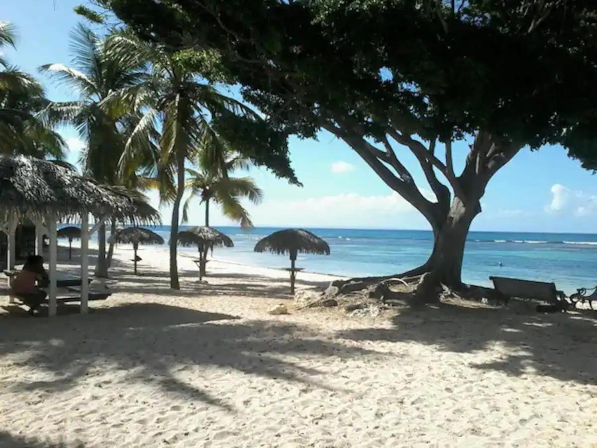 Karibeko : Exceptionnel & Rare : Plage , Piscine, Wifi Prive Saint-Francois  Exteriér fotografie